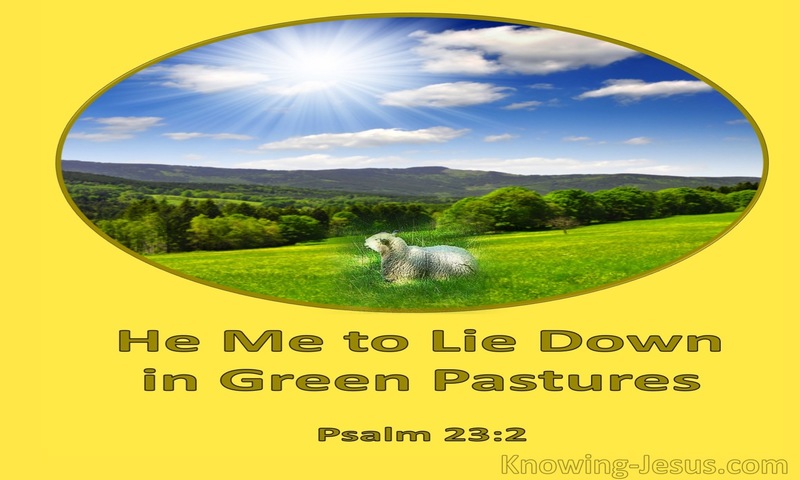Psalm 23:2 He Makes Me Lie Down in Green Pastures (yellow)